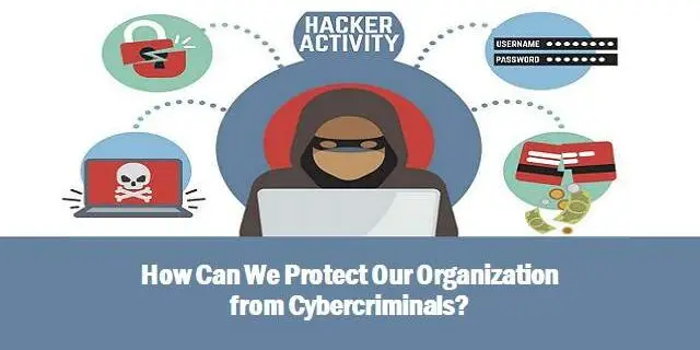 محافظت در برابر مجرمان سایبری